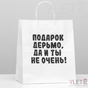 Пакет подарочный Ты не очень 24 х 14 х 30 см