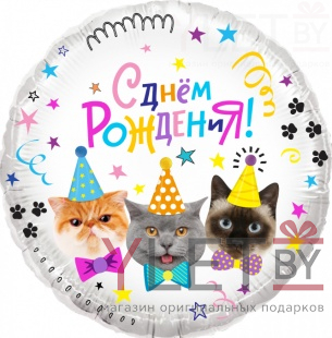 Шар (18''/46 см) Круг, С Днем Рождения! Котики в колпачках