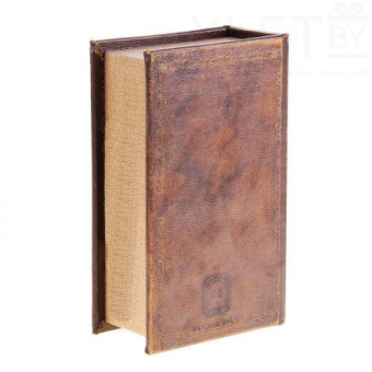 Сейф книга Тайная бухгалтерия, 21х13х5 см