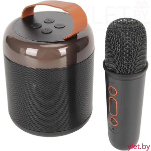 Караоке колонка Bluetooth с микрофоном Черная