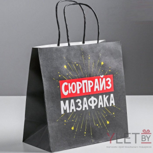 Пакет подарочный Сюрпрайз, 22 х 22 х 11 см