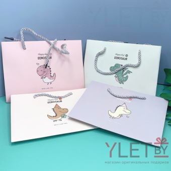 Пакет подарочный Dinosaur 19.5 х 14.5 х 8.5 см