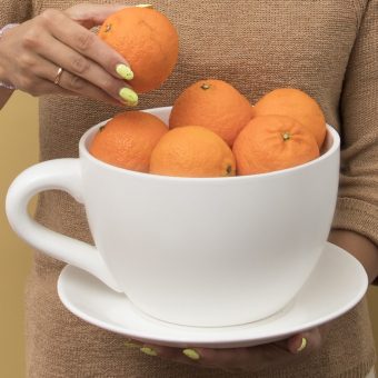 Чашка Кашпо с блюдцем Гигант