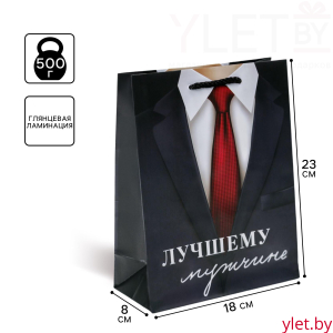 Пакет подарочный ламинированный, упаковка, «Лучшему мужчине», MS 18 х 23 х 8 см