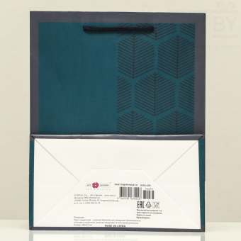 Пакет подарочный Строгость, 18 х 22.3 х 10 см